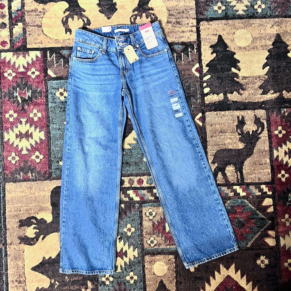 Levi’s Superlow Loose